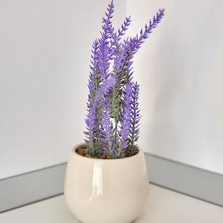 Jaz Casa Del Mar 3 *