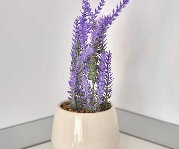 Jaz Casa Del Mar 3 *